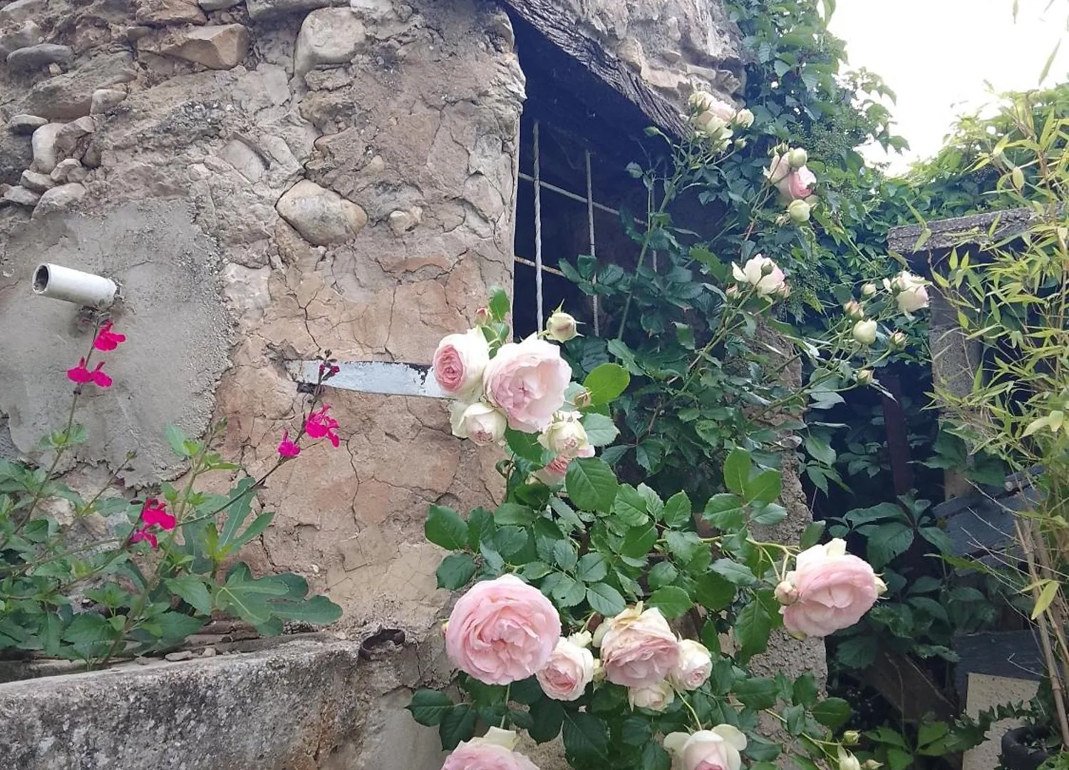 Vakantiehuis Les Gites Du Mont Ventoux Bédoin