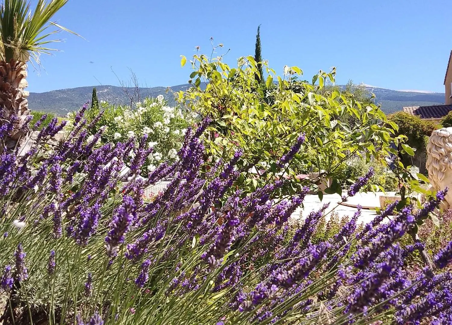Les Gites Du Mont Ventoux Bedoin Holiday home