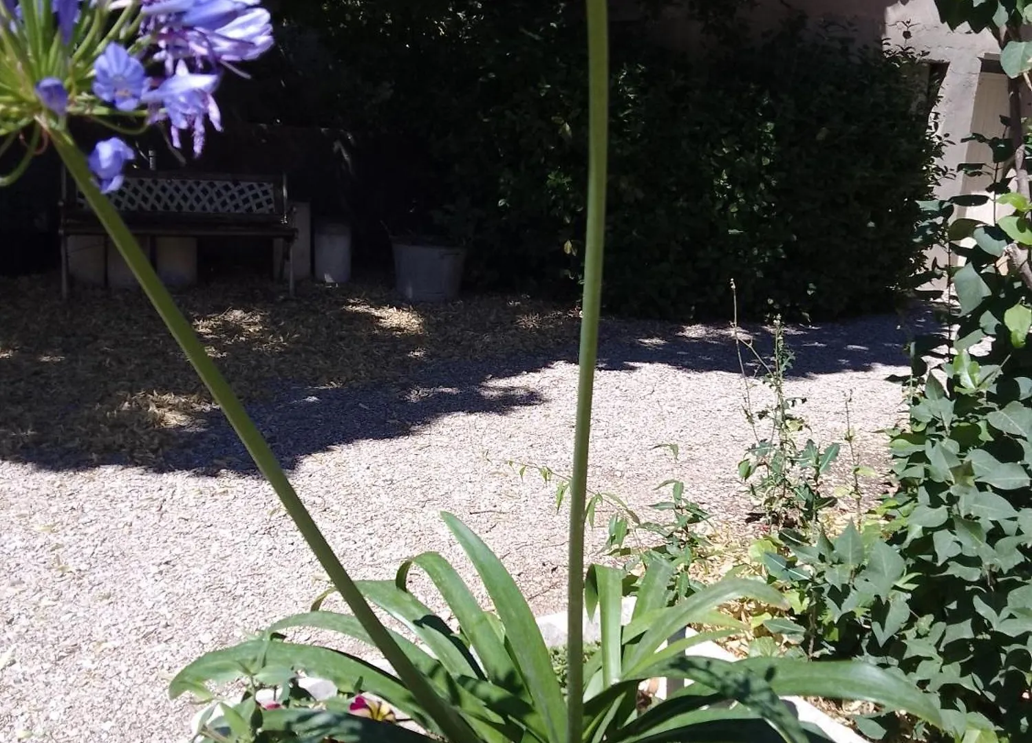 Holiday home Les Gites Du Mont Ventoux Bedoin France