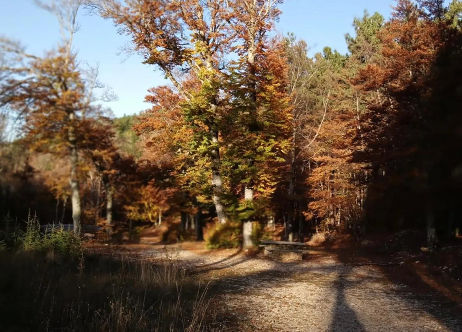 Nyaraló Les Gites Du Mont Ventoux Bédoin