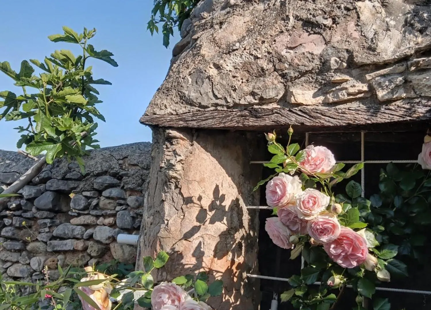 Les Gites Du Mont Ventoux Bedoin Holiday home